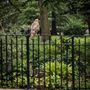 Photo of Tompkins Square Park