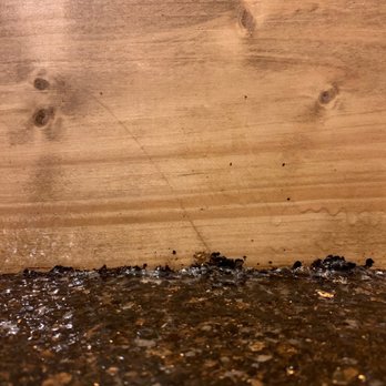 American Dream Epoxy - The epoxy on the trim board - Flooring Near Me American Dream Epoxy - The epoxy on the trim board - Flooring Near Me