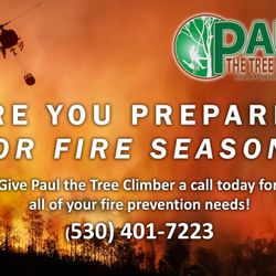 Paul The Tree Climber - Is Your Property Ready for Fire Season?
Give us a call today for all of your fire prevention needs!