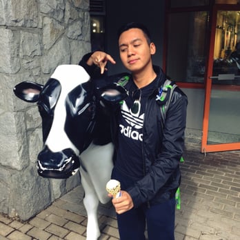 COWS - Ice Cream & Frozen Yogurt Near Me - Whistler, British Columbia