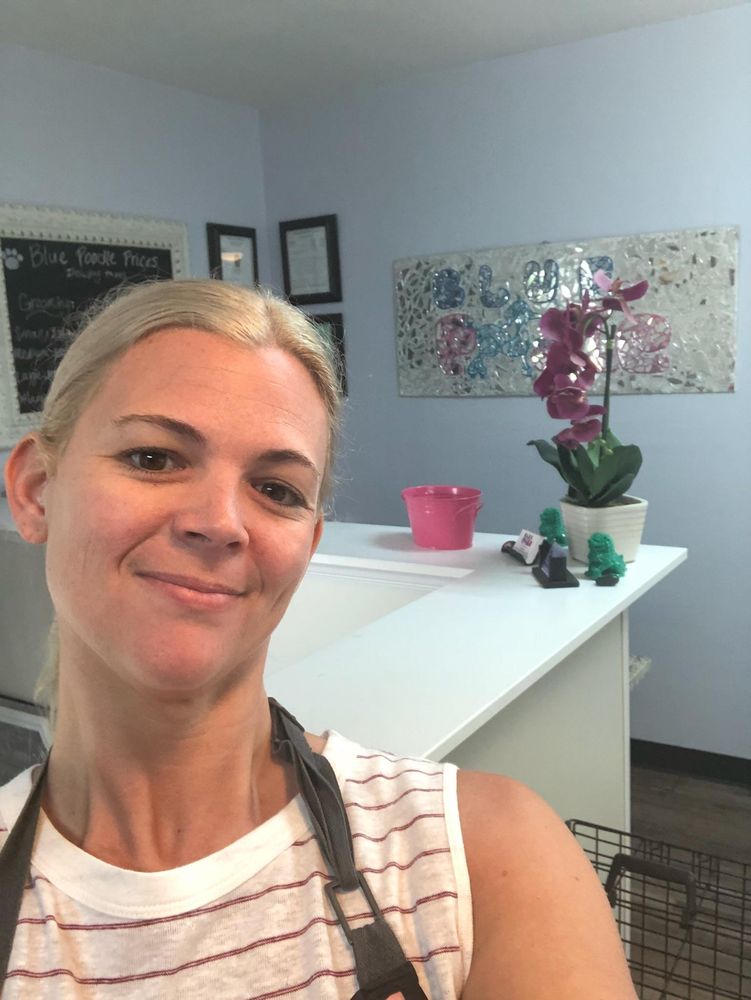 BLUE POODLE PET SALON Updated October 2024 540 Airport Rd, Hot Springs National Park