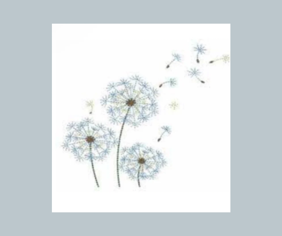 Tumbleweeds Counseling and Case Management Agency - grief counselor in Waterville, ME