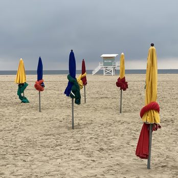 Eucalyptus - Travel Agents Near Me Eucalyptus - Travel Agents Near Me