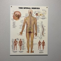 Greco-Bowman Chiropractic