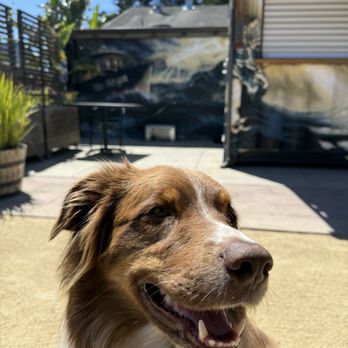Old Princeton Landing - Bucky - Seafood Near Me - Half Moon Bay, California