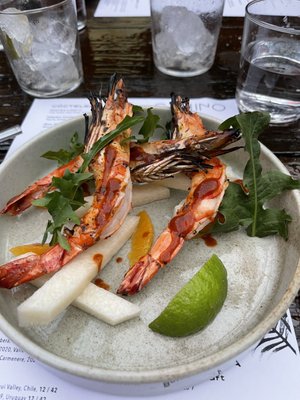 Camino Riviera by null