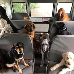 paradise ranch dog boarding