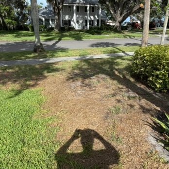 TruGreen Lawn Care - Tree Services Near Me - Sarasota, Florida TruGreen Lawn Care - Tree Services Near Me - Sarasota, Florida