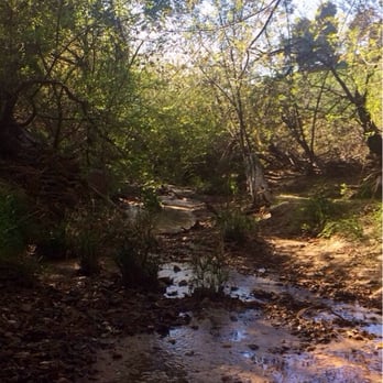 Aliso Canyon Park - Creek is low but still nice - Hiking Near Me - Granada Hills, California