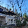 Raleigh Tree Service
