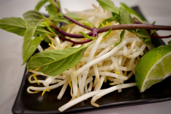 Nha Trang Vietnamese Cuisine by null