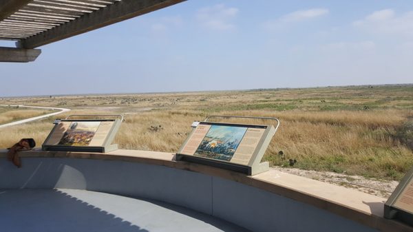 Palo Alto Battlefield National Historical Park by null
