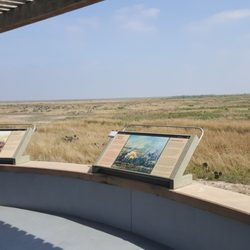 Palo Alto Battlefield National Historical Park - Overlooking the battlefield.