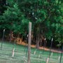 Photo of La Famiglia winery