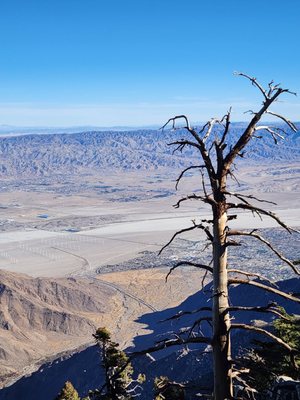 Palm Springs Aerial Tramway by null Palm Springs Aerial Tramway by null