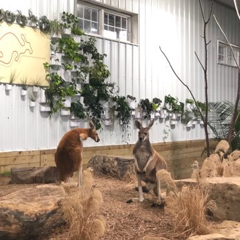 The Creature Conservancy - Community Service/Non-Profit Near Me - Ann Arbor, Michigan