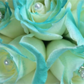 White Florist - Florists Near Me - Dubuque, Iowa