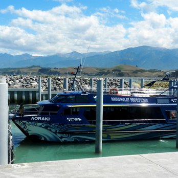 Whale watch - nice tub! - Whale Watching Tours Near Me - Kaikoura, CAN Whale watch - nice tub! - Whale Watching Tours Near Me - Kaikoura, CAN