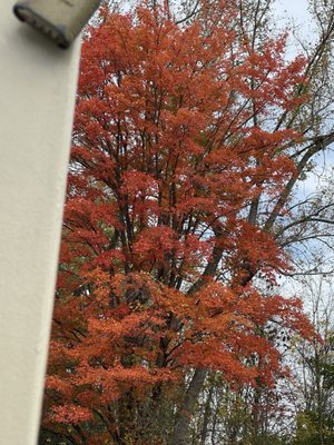 Sam Patch Erie Canal Tours by null