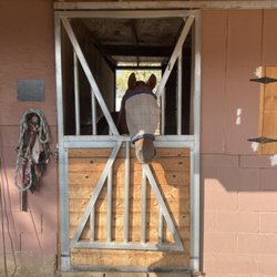 Golden Horse Ranch