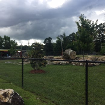 Big Rock Mini Golf & Fun Park - Mini Golf Near Me - Little Rock, Arkansas