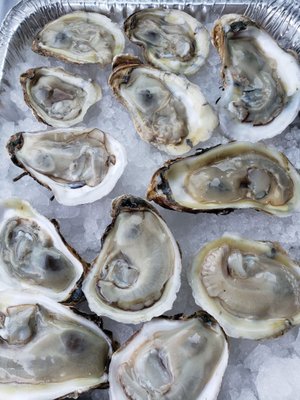 Photo of JJR Highridge Fishery - Yonkers, NY, US.