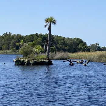 B's Marina & Campground - Campgrounds Near Me - Yankeetown, Florida B's Marina & Campground - Campgrounds Near Me - Yankeetown, Florida