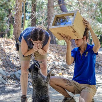 Turtle Bay Exploration Park - Whisper training session with Sharon - Museums Near Me - Redding, California