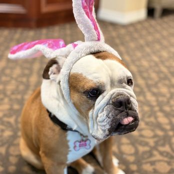 Silverado Beach Cities Memory Care Community - Easter Honey - Assisted Living Facilities Near Me - Redondo Beach, California Silverado Beach Cities Memory Care Community - Easter Honey - Assisted Living Facilities Near Me - Redondo Beach, California