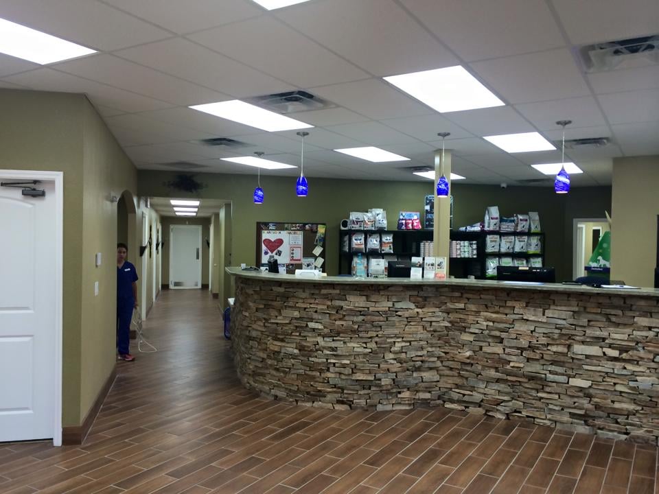 VCA Daytona Animal Hospital Image