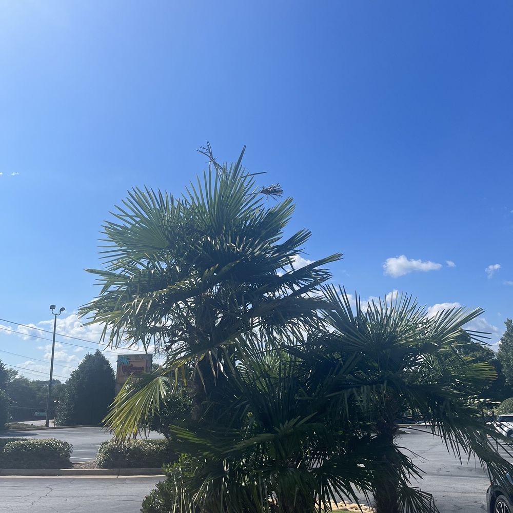 Bahama Breeze - Caribbean Near Me - Duluth, Georgia