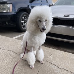 After picking her up After picking her up
