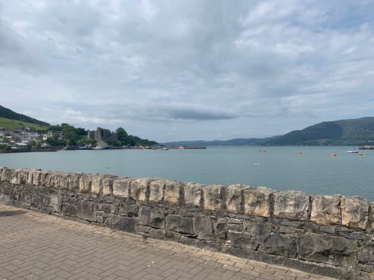 Carlingford Castle by null