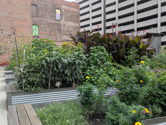 The Greening of Detroit - Lafayette Greens by null