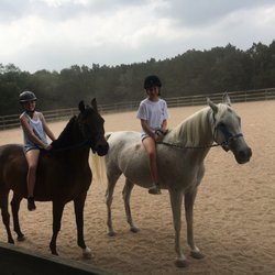 Weddle Training Stables