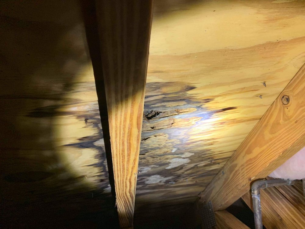 Slide of Hammer Roofing & Restoration