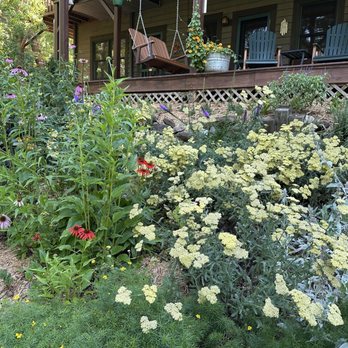 Bent Creek Lodge - Beautiful flowers all around... - Bed & Breakfast Near Me - Arden, North Carolina