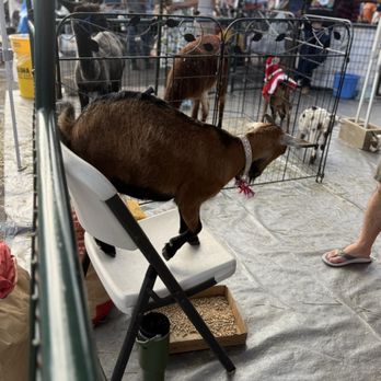 Navy Exchange Pearl Harbor - The GOAT lol! - Department Stores Near Me - Honolulu, Hawaii