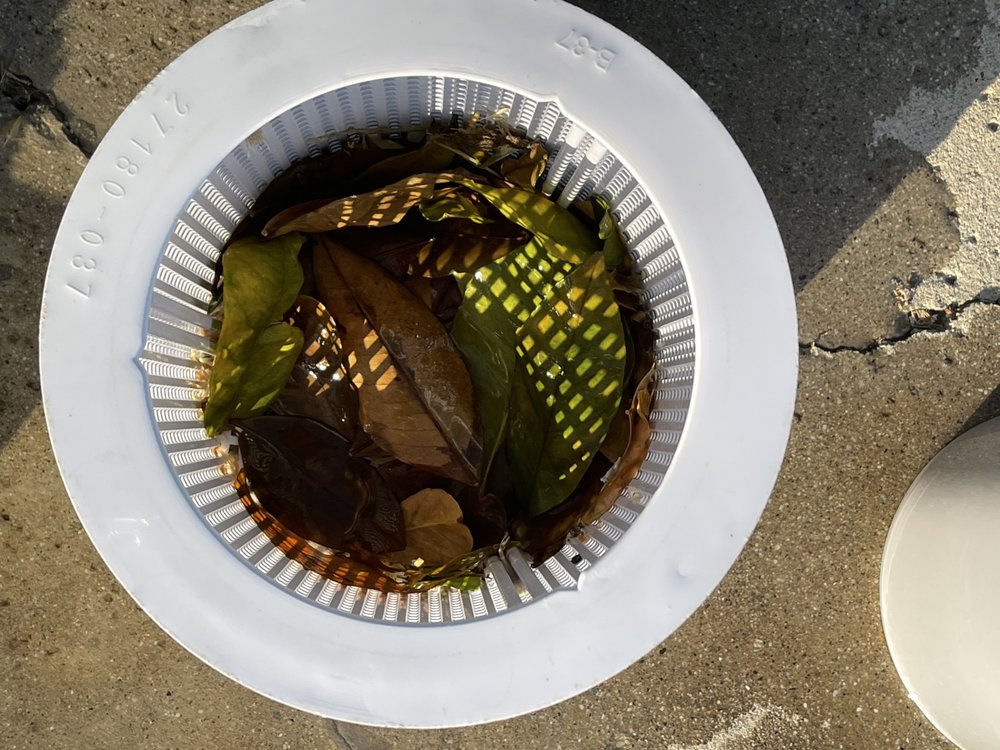 ALL PRO POOL & SPA SERVICE Updated September 2024 12 Photos & 11