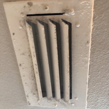 On50 - MOLD - Apartments Near Me - Tampa, Florida On50 - MOLD - Apartments Near Me - Tampa, Florida