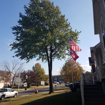 Dan Evans Tree Service - Tree Services Near Me Dan Evans Tree Service - Tree Services Near Me