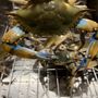 Photo of Bill Forrest Seafood