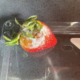 Rotten strawberries