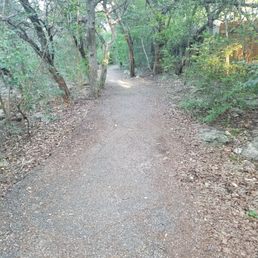 Trail in the beginning