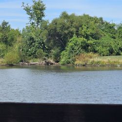 Cider Hill Family Orchard - Small pond