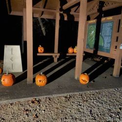 Charles Alley Nature Park - Some pumpkins to start the walk at the parking lot entrance to the lake!