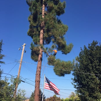 Summit Tree Service - Tree Services Near Me