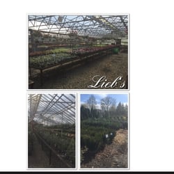 Lucente Nursery