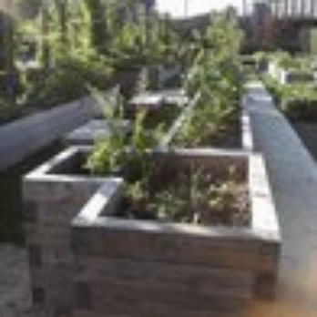 Curtis 50 Cent Jackson Community Garden - Community Gardens Near Me - Queens, New York