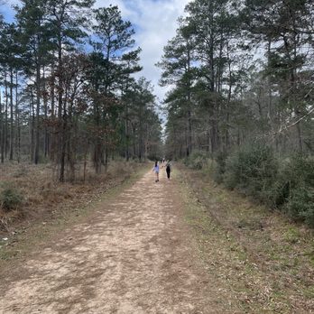 Terramont Park - Forest - Disc Golf Near Me - The Woodlands, Texas Terramont Park - Forest - Disc Golf Near Me - The Woodlands, Texas